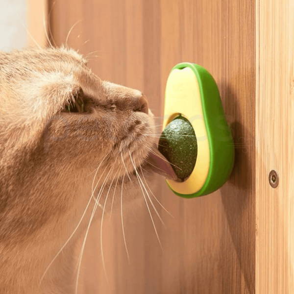 Brinquedo Abacate com Catnip para Gatos
